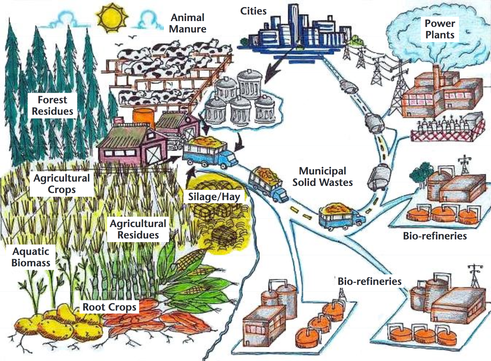 biomass fuel examples